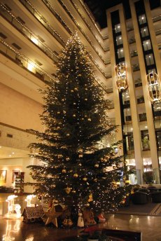 Maritim Hotel Magdeburg (© Maritim Hotelgesellschaft mbH)
