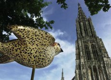 Wahrzeichen der Stadt Ulm - das Ulmer Münster und der Ulmer Spatz (© Ulm/Neu-Ulm Touristik GmbH / Rose Böttcher)