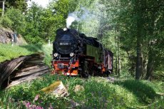 Harzer Schmalspurbahn (© Daniel Kühne-fotolia.com)