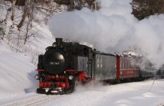 Mit der Zittauer Schmalspurbahn unterwegs (© TGG Naturpark Zittauer Gebirge/Oberlausitz)