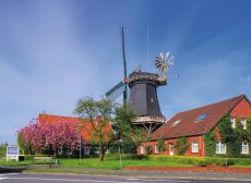 Windmühle in Esens (© LianeM-fotolia.com)