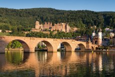 Neckarbrücke und Stadtpanorama mit Schloss (© eyetronic-fotolia.com)